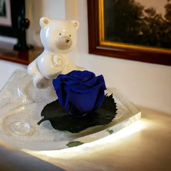 Rosa Stabilizzata Cuore d'Orso - immagine 3