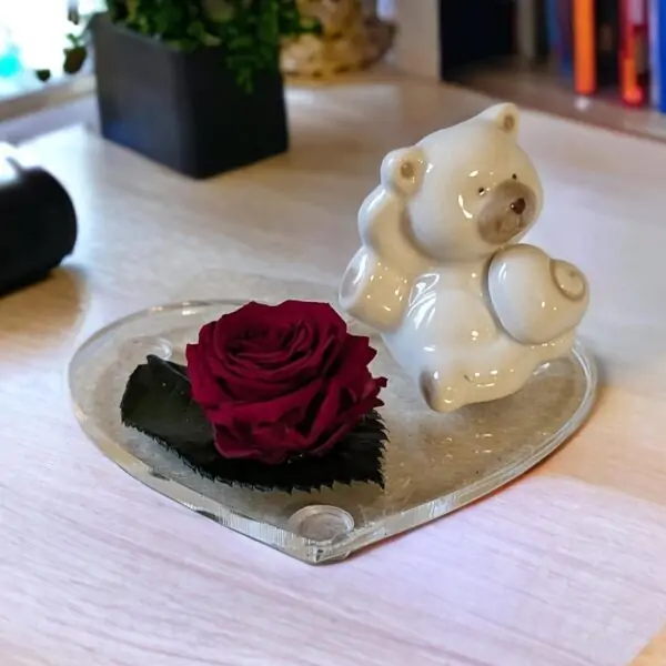 Rosa Stabilizzata Cuore d'Orso