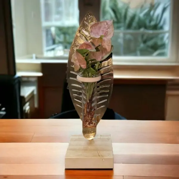 Syngonium Idroponica design Gold Leaf