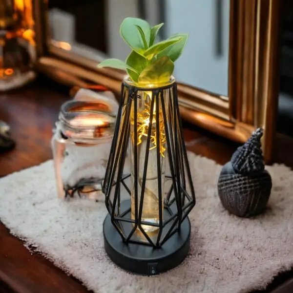 Clusia Idroponica LED Light edition