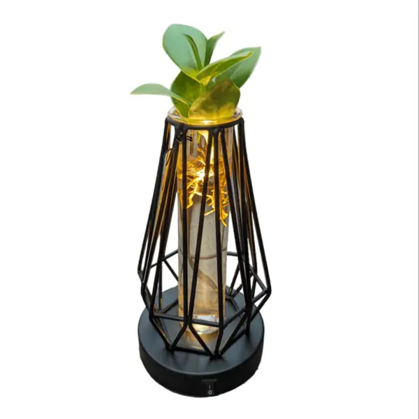 Clusia Idroponica LED Light edition - immagine 5