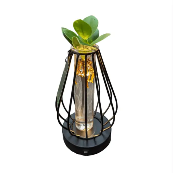 Clusia Idroponica LED Light edition - immagine 6
