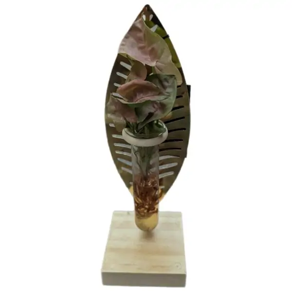 Syngonium Idroponica design Gold Leaf - immagine 2